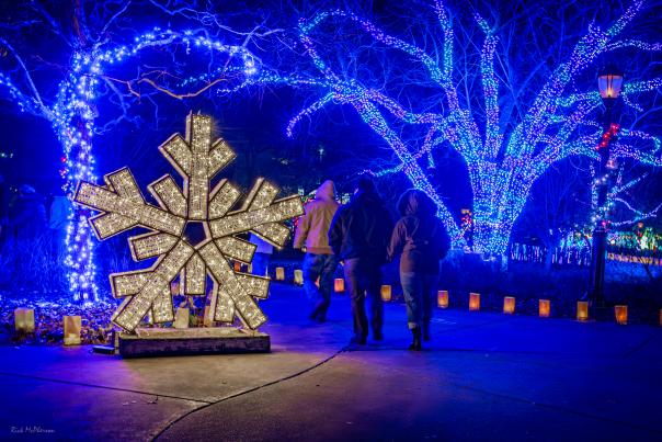 Illuminations Snowflake