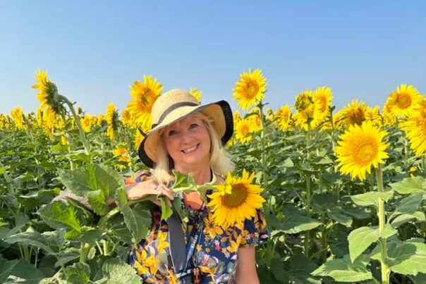 Sunflower Field_Cindy Ladage