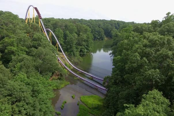 Trees with Roller Coaster