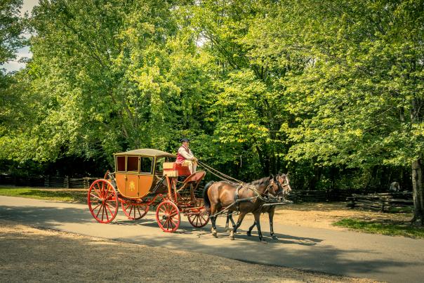Carriage Ride at Colonial Williamsburg