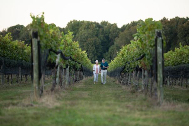 Older Couple at Williamsburg Winery Vineyard