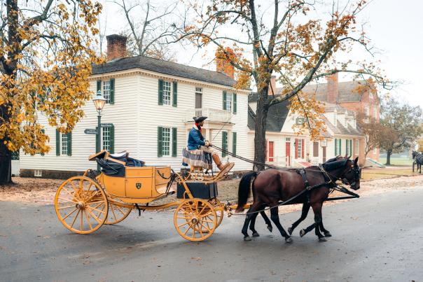 Colonial Williamsburg Horse Drawn Carriage
