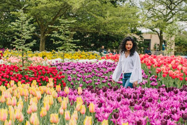 Spring at Longwood Gardens, Women walking through field of tulips