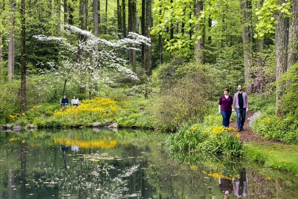 Couple on walking path around a pond at Mt. Cuba Center