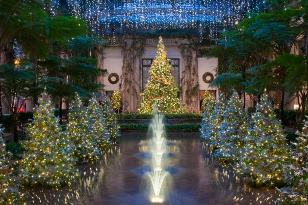 Longwood Christmas Trees