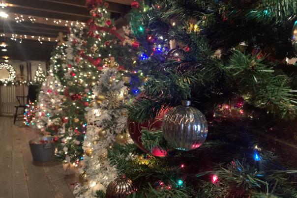 Holidays at Hagley