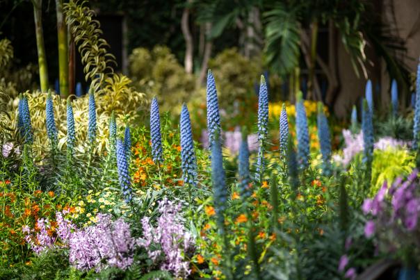 Longwood Gardens