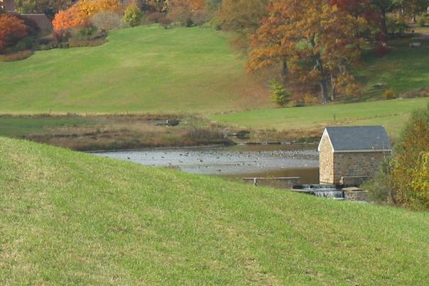 Fall Scene, Winterthur Museum, Garden & Library