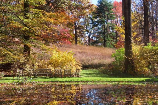 Fall at Mt. Cuba