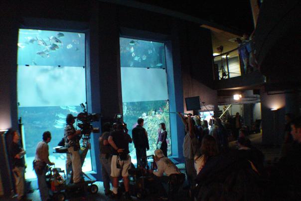 Dawson's Creek Films at Aquarium