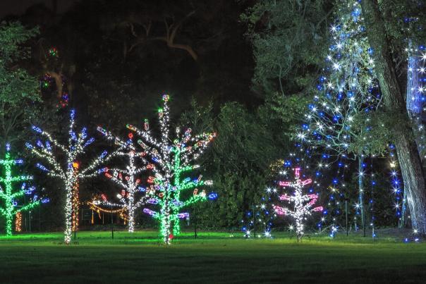 Enchanted Airlie Bottle Trees