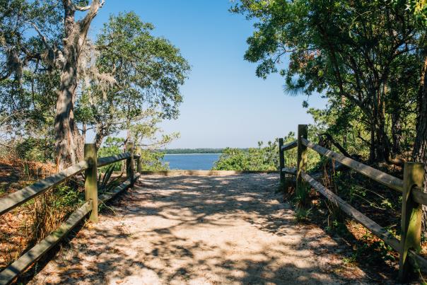 Carolina Beach State Park