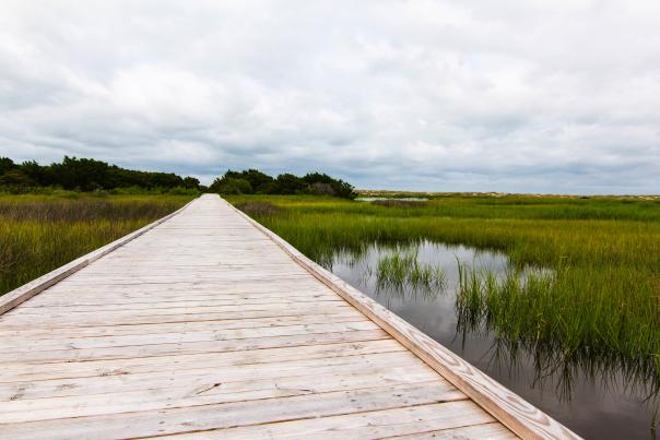 Fort Fisher Basin Trail