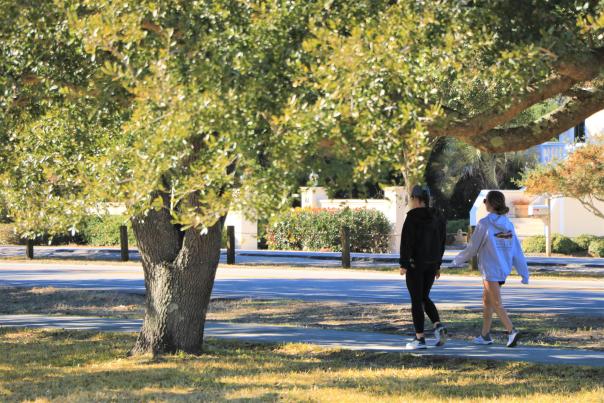 The Loop - Wrightsville Beach