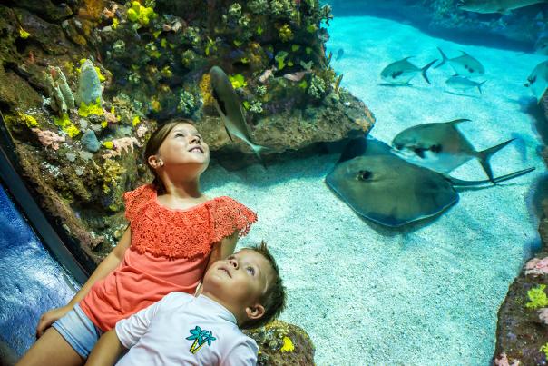 NC Aquarium at Ft Fisher - Kids look thru bubble