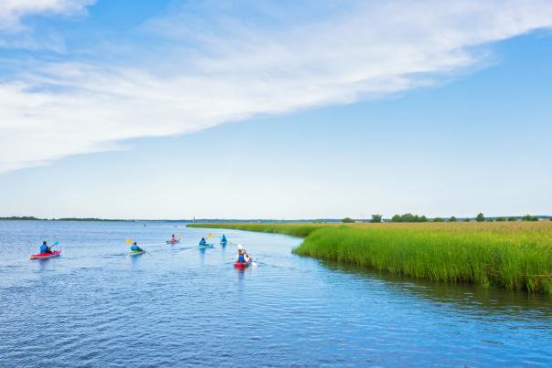 Zekes Island Kayak header