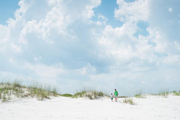 Masonboro Island header
