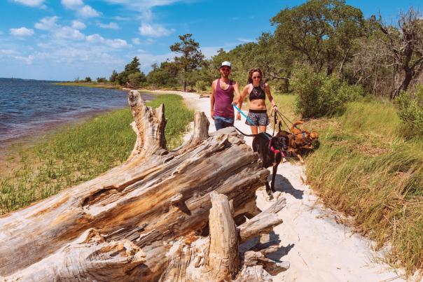 Carolina Beach State Park walking dog