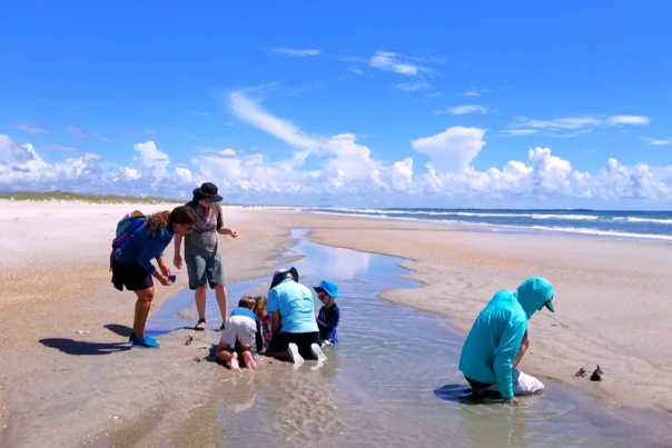 Tour group exploring with Coastal Eco Adventures in Wrightsville Beach