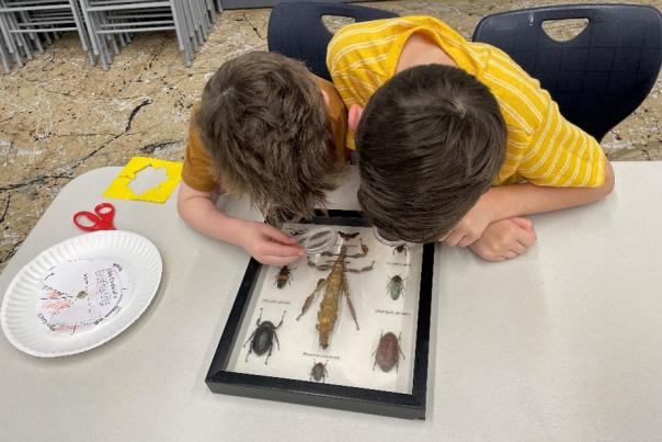 Two boys look at bugs under a microscope during The Woodlands Children's Museum Fall Workshop