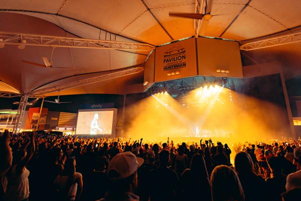 The Pavilion stage from the mid-right section of the crowd. The performer looks like he's glowing white under bright golden spotlights. Hundreds of audience members raise their hands to cheer or sing along.