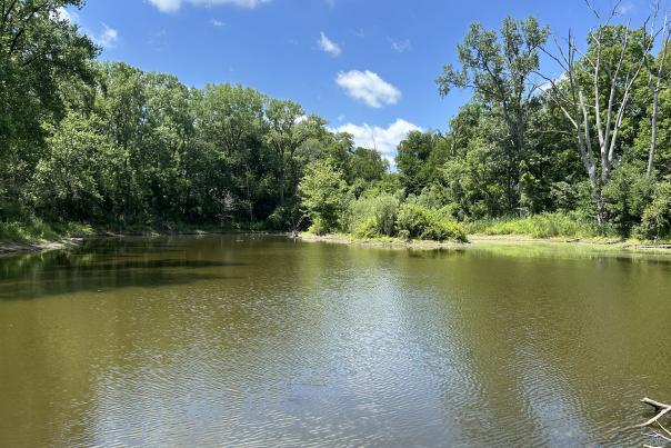 Ryders Woods Pond