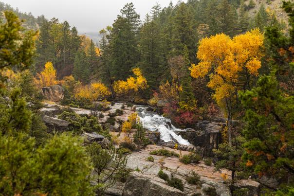 Shell Falls cascades through a rocky canyon surrounded by evergreen trees and brilliant yellow and orange fall foliage in the Bighorn Mountains near Shell, Wyoming. The rushing mountain water, granite rock formations, and colorful autumn forest showcase the scenic landscape of Bighorn National Forest.

Latitude: approximately 44.5895° N
Longitude: approximately 107.6133° W
Decimal: 44.5895, -107.6133