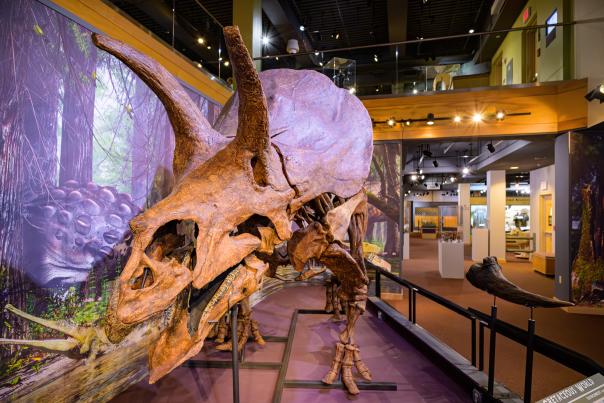 Wyoming State Museum - Interior/Dino