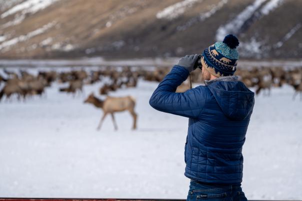 A visitor uses binoculars to watch a large herd of elk gathered in a snow-covered landscape at the National Elk Refuge near Jackson, Wyoming. Snow-dusted hills rise behind the herd, highlighting winter wildlife viewing and outdoor experiences in Teton County.
Suggested Location
