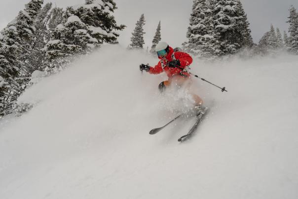 A skier carves through deep powder in a snow-covered evergreen forest near Jackson, Wyoming. Fresh snow sprays around the skier as they descend through the trees, highlighting powder skiing and winter recreation in Teton County.