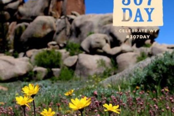 307 Day Albany County