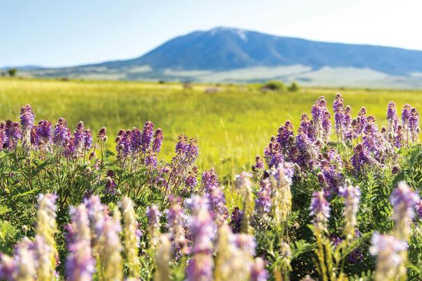 Carbon-County-Whitney-James-Elk-Mountain_6-featured