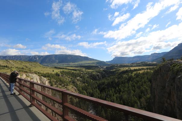 A visitor takes in expansive mountain and canyon views from an overlook along the Chief Joseph Scenic Byway in Park County, Wyoming. Forested canyon walls, rolling foothills, and rugged mountain ridges stretch beneath a bright blue sky, showcasing the dramatic scenery of northwestern Wyoming.

Latitude: approximately 44.735° N
Longitude: approximately 109.502° W
Decimal: 44.735, -109.502