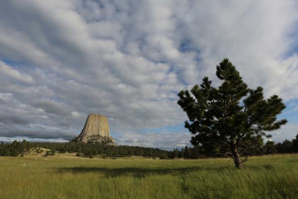 Devils-Tower-Summer---Crook-County---23