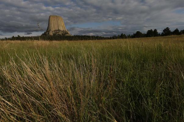 Devils-Tower-Summer---Crook-County---8