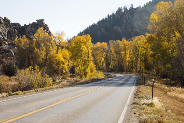 Fall-Leaves---WY-130---Carbon-County