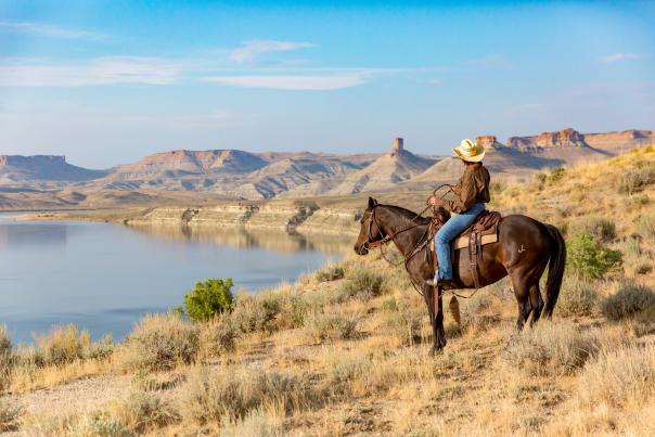 Horseback rider near body of water