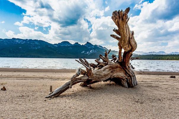 Hidden Gems in Yellowstone