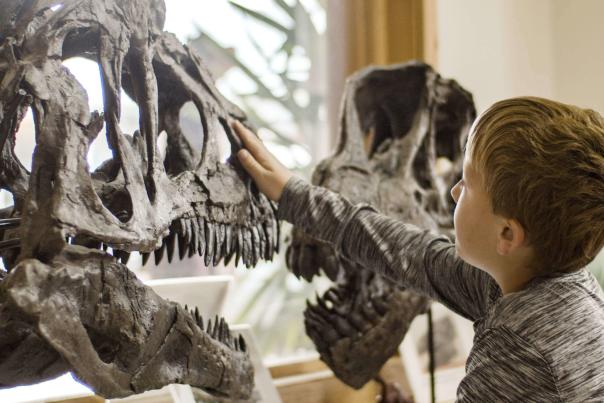 MUSEUMS-Big-Horn-Basin-Geoscience-Center---Kids-Museum---Greybull---2019-Thats-WY-Campaign---Big-Horn-County-(4)