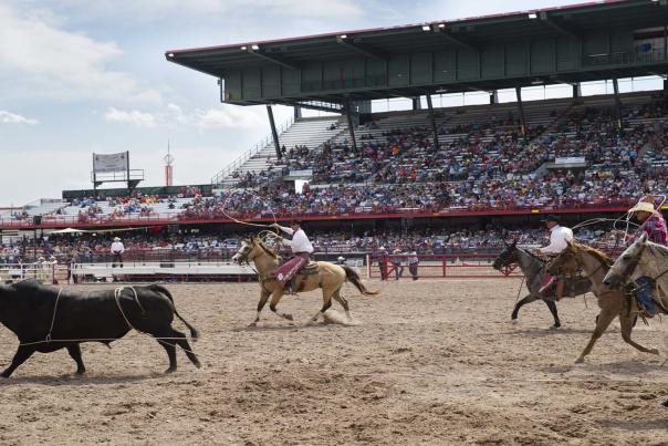 Rodeo Feature