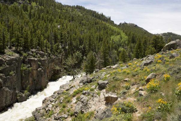 Sinks-Canyon--Popo-Agie-River-Spring---Fremont-County-2