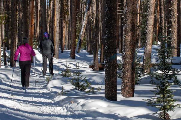 Snowshoeing-Saratoga-Snowy-Range-Forest-Winter-Carbon-County