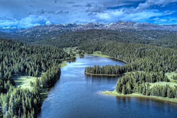 a winding lake surrounded by trees and mountain range in the background