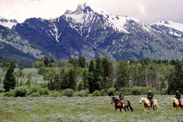 Trail Ride near Jackson, Wyoming