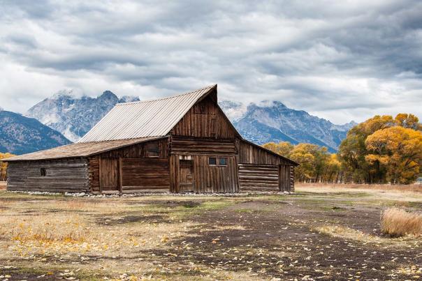 WOT_shutterstock_600285284