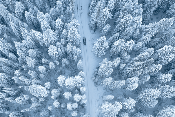 Winter Road