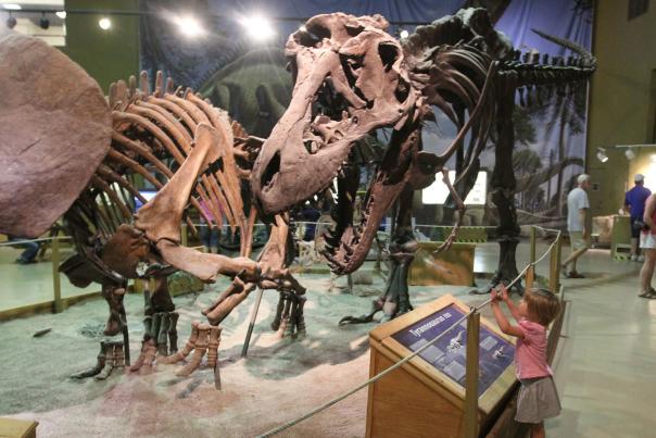 Discover History, Wildlife & Fun: Family-Friendly Museums in Wyoming