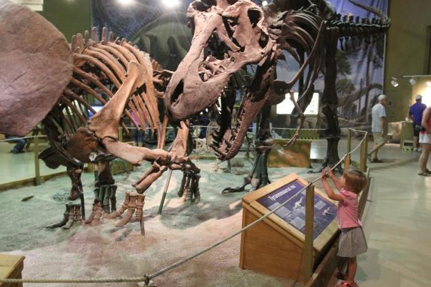 Wyoming-Dinosaur-Center-People-Children---Hot-Springs-County---8-custom