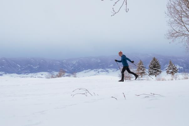 Just off to the side or gliding in the mid-ground, a Nordic skier moves in a rhythmic skate-ski motion. Their slim skis and poles create a sharp, linear elegance against the soft curves of the landscape.