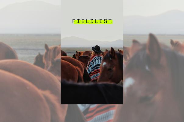 FIELDLIST Promo